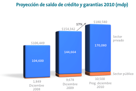 Imagen. Grfica Proyeccin de saldo de crdito y garantas 2010 (mdp)
